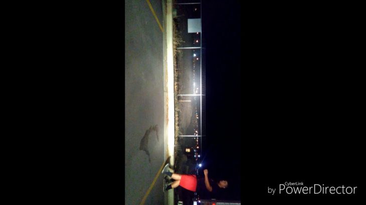 Fat Boi Dubstep Dance