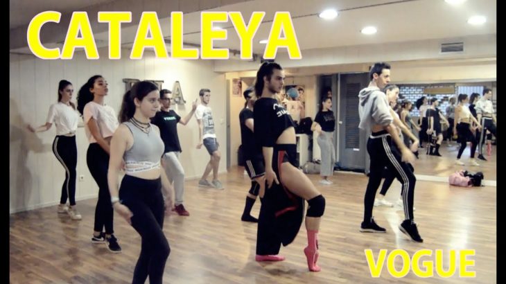 Cataleya en BHA Urbance DC VOGUE puertas abiertas