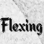 Flexing by Chris Brown