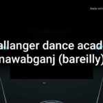 Vande hi hum uske###vande matram***nice stunt dance/Ashish dance nawabganj/pr krump aka dangerous