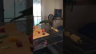 Charlie dances to dubstep