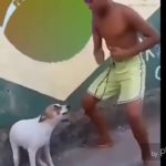 Dance till your dead dubstep Remix