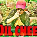 Dil cheej tujhe Dedi mix || Crump Dubstep || Danish Malik Dance ||