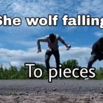 Falling to pieces dubstep dance video /she wolf