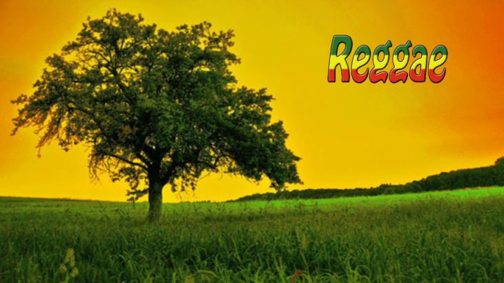 Flores Sistema Feat Local Remidy [ Tonight Remix Reggae _ 2018 ]