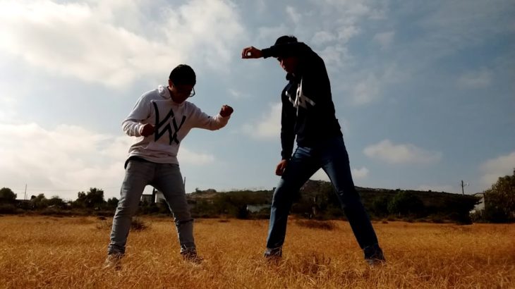 Alan walker (mix) Dubstep dance