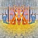 Dubstep Fusion Belly Dance