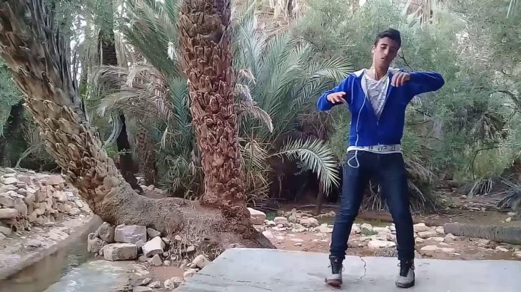 FIREBIRD – DUBSTEP DANCE