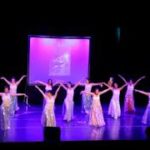 Gala des élèves de l’école de danse Bebop N°1 de Plan de Campagne (13)