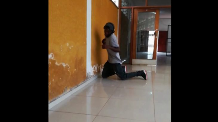 timon e dancer-getting wet dubstep dance