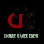 Chaiya chaiya _ Bollywood dubstep remix Dance By – Riya UDC [ UNIQUE DANCE CREW ]