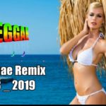 Reggae Remixes 2018 _ 2019 – Reggae Internacional _ Reggae Romântico