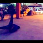 AFK X Carbin – Boss /Break Dance & Dubstep Dance/Kotori Remix
