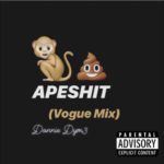 Beyonce – Apeshit (Vogue Mix)