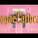 Love Dance / Reggae Caribean – Naty Roots Equeen (Video Oficial)