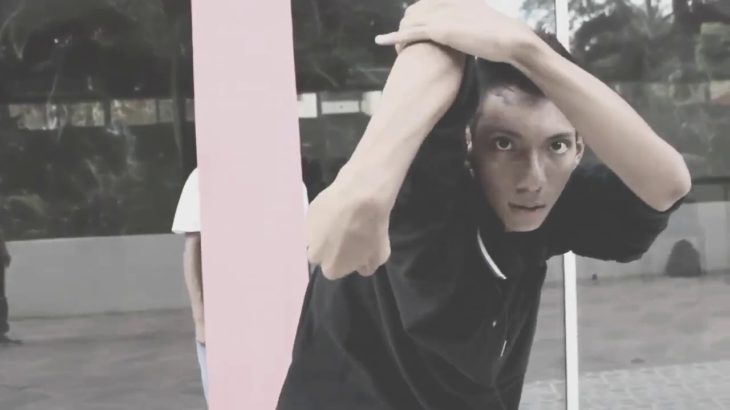 Remembering Flexing Dance/ MutanFlex 2017