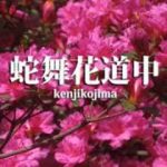 蛇舞花道中 Snake Dance Flower in the Road Reggae