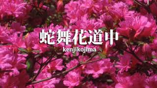 蛇舞花道中 Snake Dance Flower in the Road Reggae