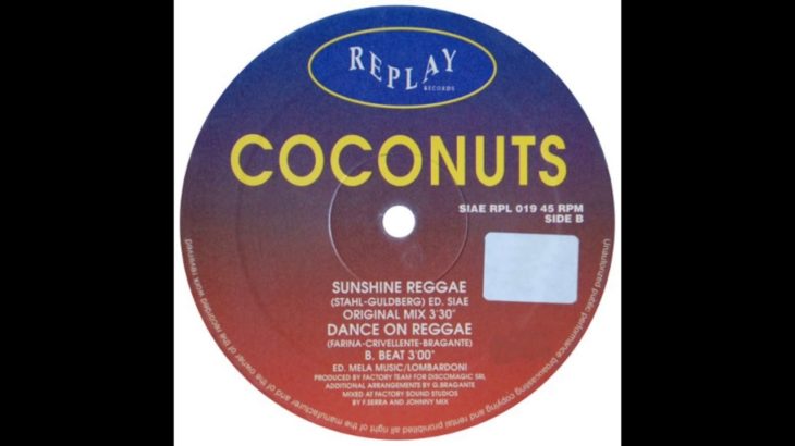 Sunshine Reggae – Coconuts  ( ragga dance )