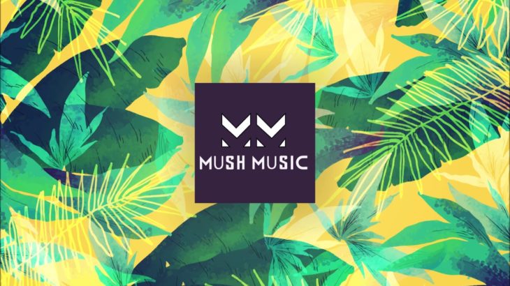 Chill Out Party Mix 2019 ll Tropical ll Dance Pop ll Reggae ll
