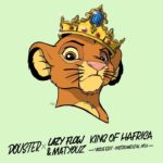 Douster – King Of HAfrica (Lazy Flow & @Matyouz-Matyouz vogue edit – instrumental mix)