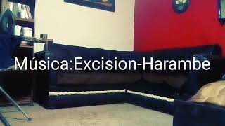 Excision- Harambe | Aarón r | Dubstep dance