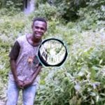 Reggae Dance Non-exclusive Music 0219