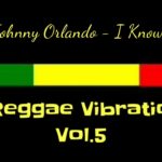 Reggae Vibration vol.5 – The Best Of Reggae _ Os Melhores Reggae Limpos _ 100% Pancadas