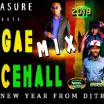 2019 REGGAE DANCEHALL MIX: CLEAN 🔥 HAPPY NEW YEAR TO ALL MUSIC LOVERS FROM DJ TREASURE 18764807131