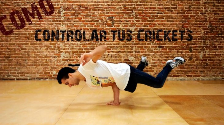 Cómo Controlar Tus Crickets – Cómo Bailar Break-Dance Paso A Paso