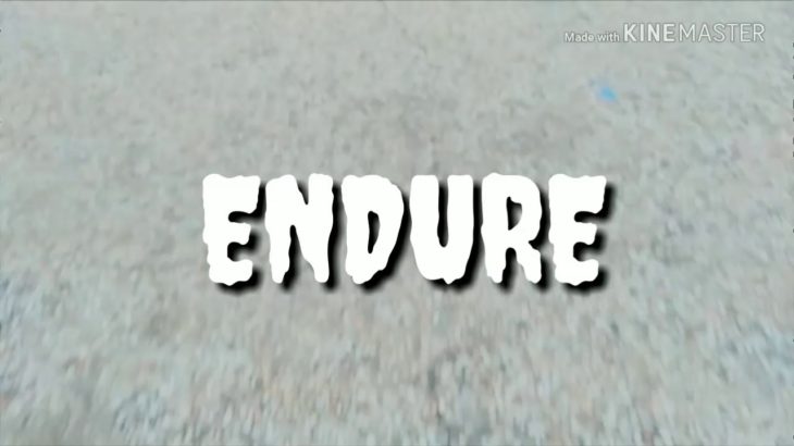 Dubstep dance-ENDURE