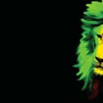 Reggae Dance Hall