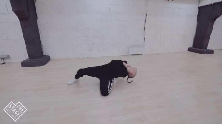 Саша Перцев | Vogue | The Stage Dance Academy