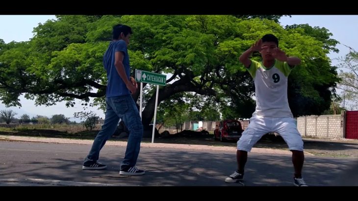 Bad Man – Ragga Twins (Skrillex Remix)/Dubstep Dance
