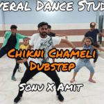 Chikni Chameli Dubstep || Dance Workshop || Sonu X Amit || Several Dance Studio