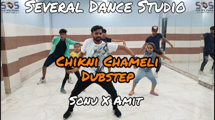 Chikni Chameli Dubstep || Dance Workshop || Sonu X Amit || Several Dance Studio