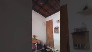 Dubstep Dance- Pablo Chapmann