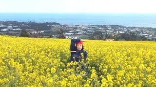 LOVE RAN | Canola Flowers & VOGUE (Jeju Island, Korea 2019)