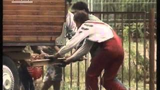MDR TV Reportage “Die weite Welt ist unser Feld” – Break Dance Seiferth 1995