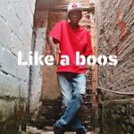 Tico Braw – Like a Boss – DUBSTEP DANCE