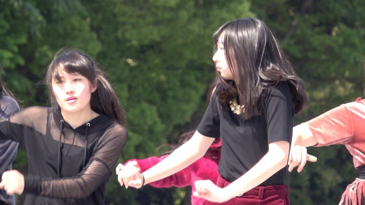 瀧野川女子学園中学高等学校ダンス部＠2019　東京舞祭～春～