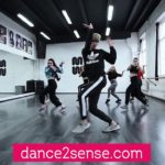Dick Van Dick – On Loop – vogue dance choreography by Nikita Bonchinche – Dance2sense