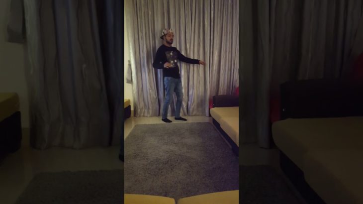 FIREBIRD 2 Dance to dubstep
