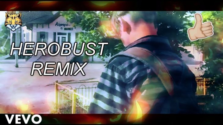 [HARD] Herobust – Vertebreaker [Freestyle DANCE DUBSTEP REMIX COVER]