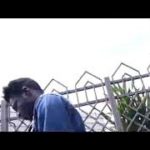 Jr_zeus &wipe infinity//krump