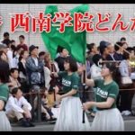 キラキラ若さ溢れる　美人　女子ダンス　⑫　２９９番　コスモ★KID’S CLUB　３５８番西南学院どんたく隊