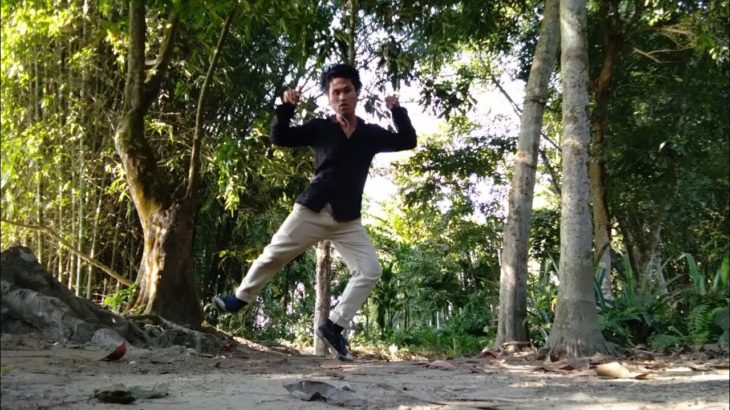 Pure tech | Dubstep | Dance cover | Northeast dancer