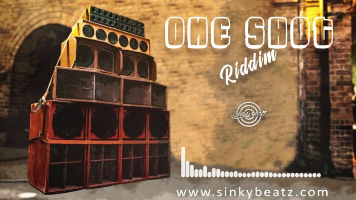 Reggae Riddim Instrumental Dub Roots Protoje type Beat “One Shot Riddim”