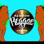 Reggae limpo Ragga dance i love bode.($)