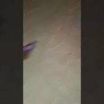 krump dance battle video